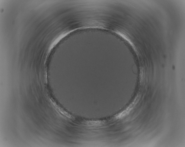 X0000062630925200512211225