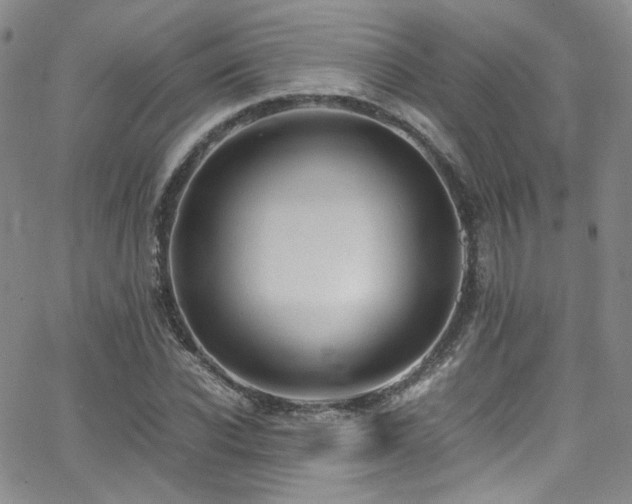 X0000062630926200512211225