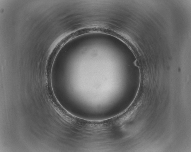 X0000062630927200512211225