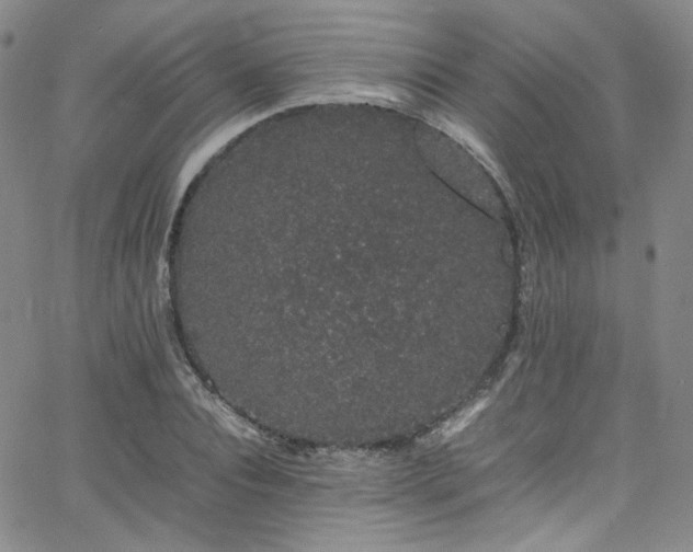 X0000062630928200512211225