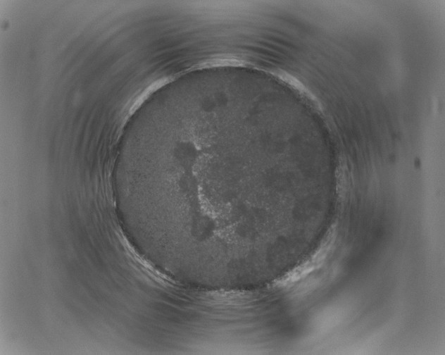 X0000062630929200512211225