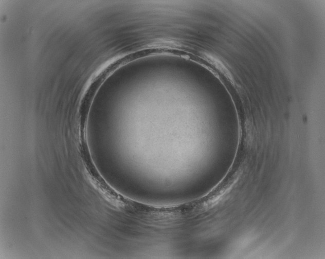 X0000062630931200512211225