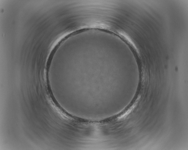 X0000062630932200512211225