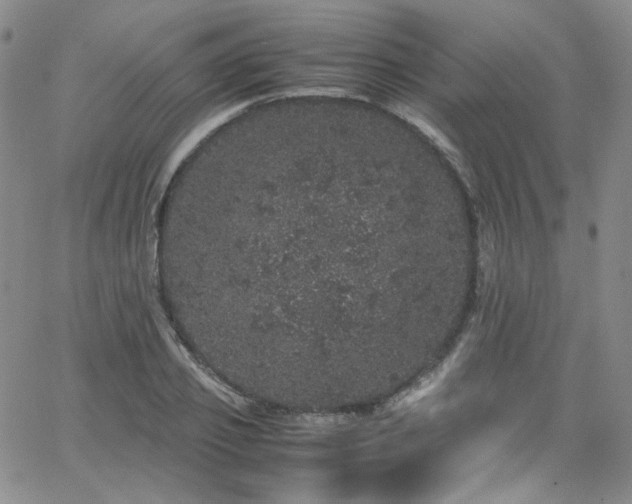 X0000062630933200512211225