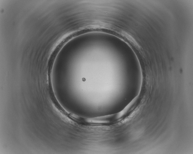 X0000062630934200512211225