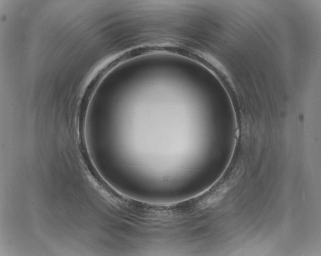 X0000062630935200512211225