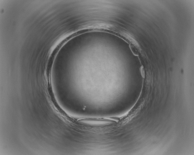 X0000062630936200512211225