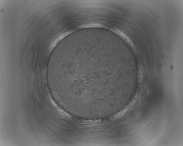 X0000062630937200512211225