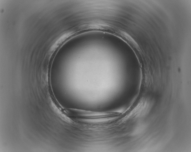 X0000062630938200512211225