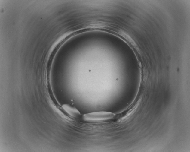 X0000062630939200512211225