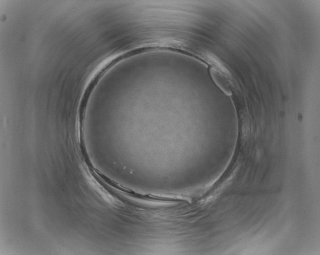 X0000062630940200512211225