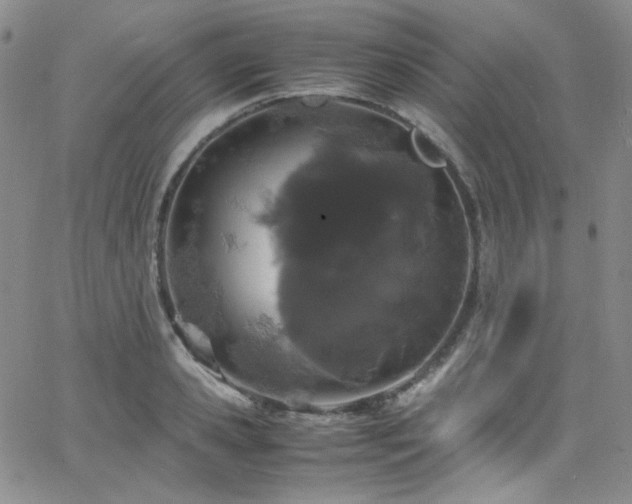 X0000062630941200512211225