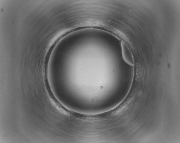 X0000062630942200512211225