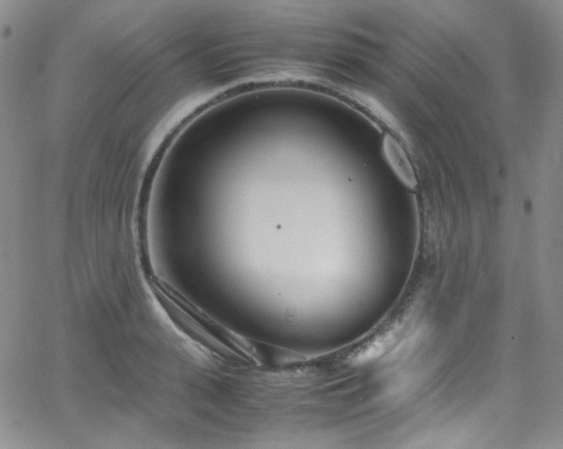 X0000062630943200512211225