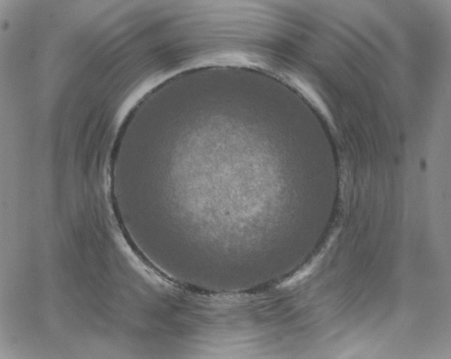 X0000062630944200512211225