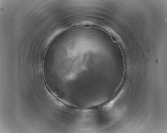 X0000062630945200512211225