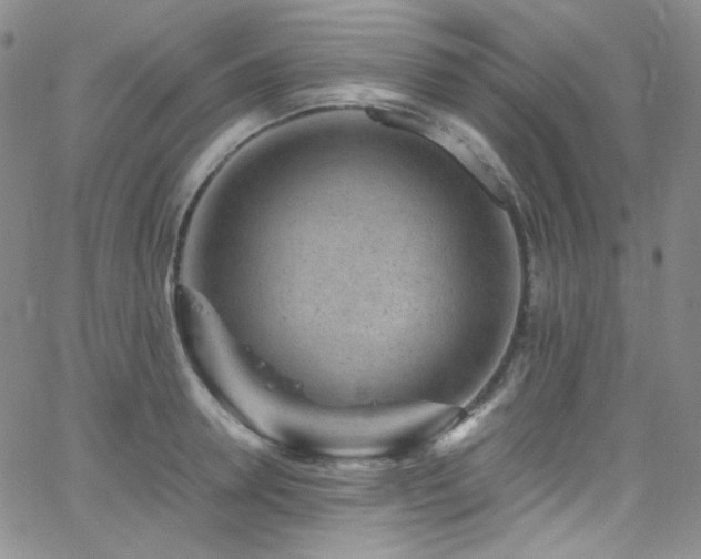 X0000062630946200512211225