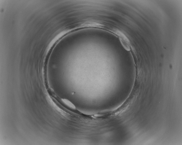 X0000062630947200512211225