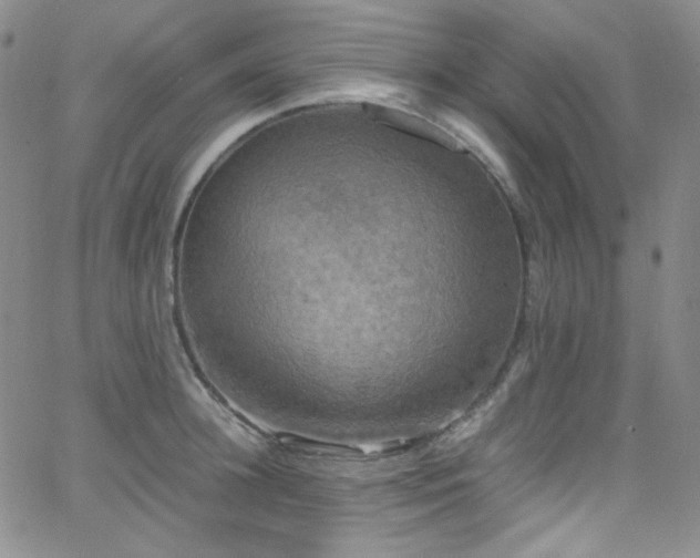 X0000062630948200512211225