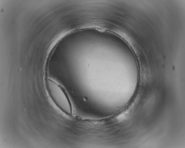 X0000062630949200512211225