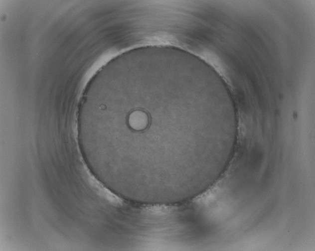 X0000062630950200512211225