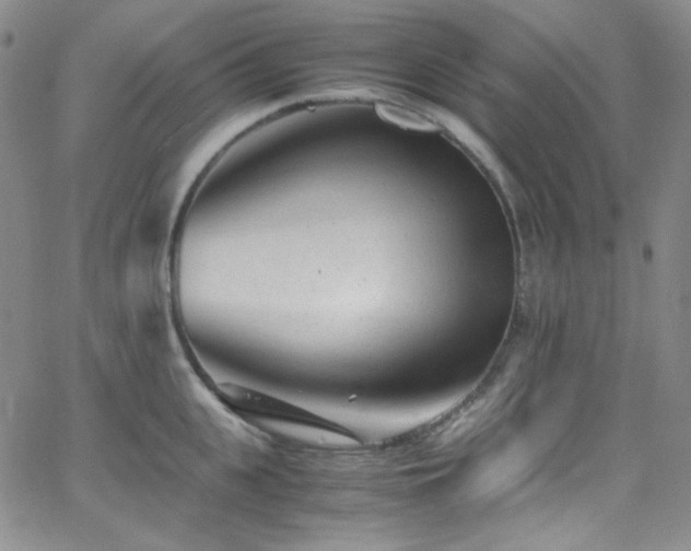 X0000062630951200512211225