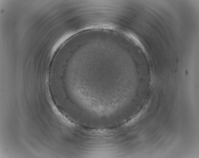 X0000062630952200512211225