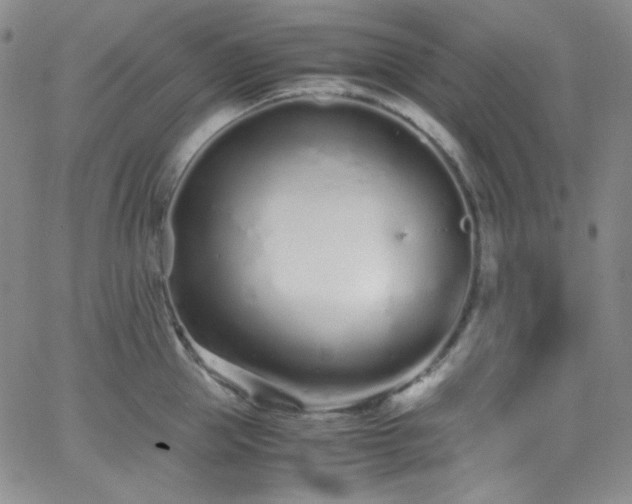 X0000062630953200512211225