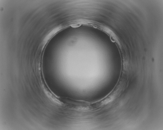 X0000062630954200512211225