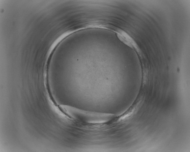 X0000062630955200512211225