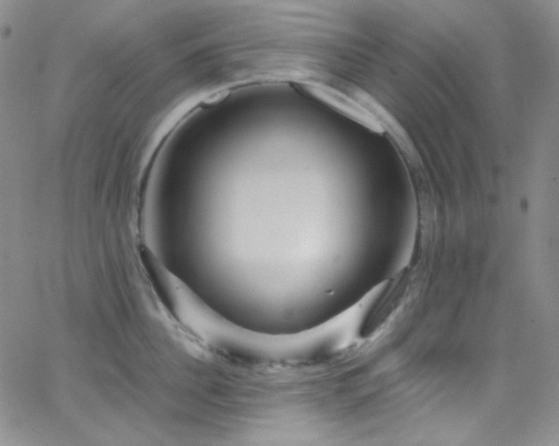 X0000062630956200512211225