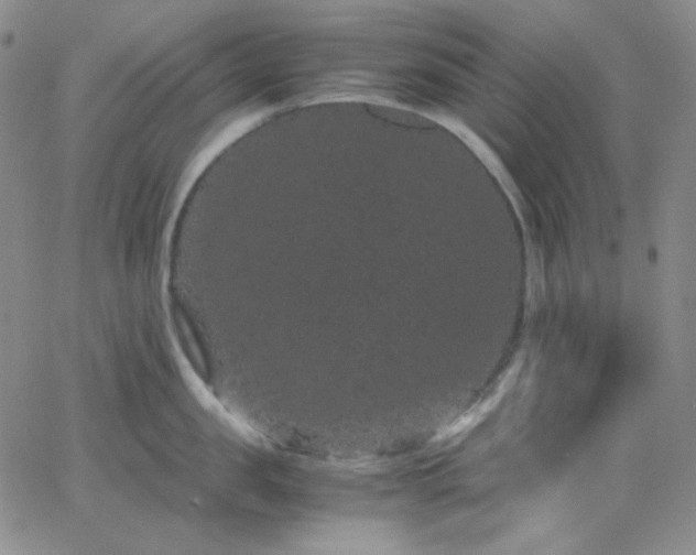 X0000062630957200512211225