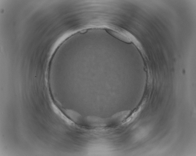 X0000062630958200512211226