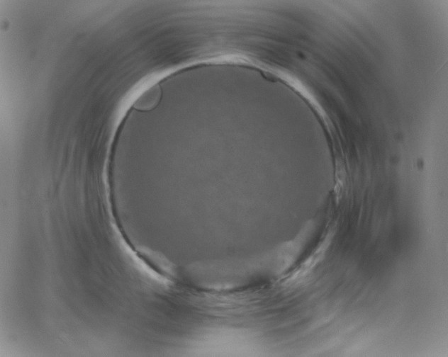 X0000062630959200512211226