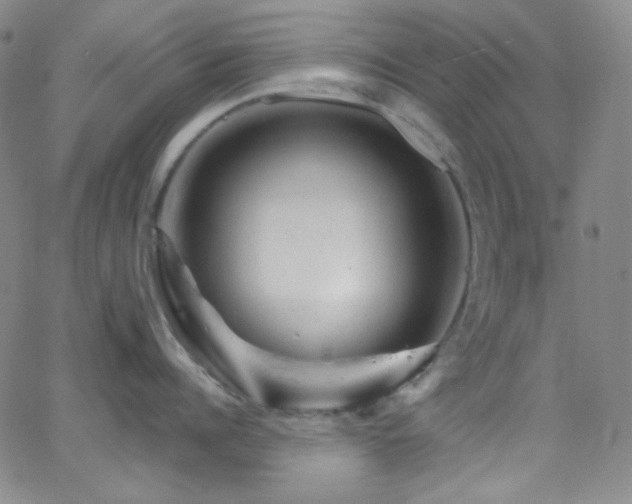 X0000062630960200512211226