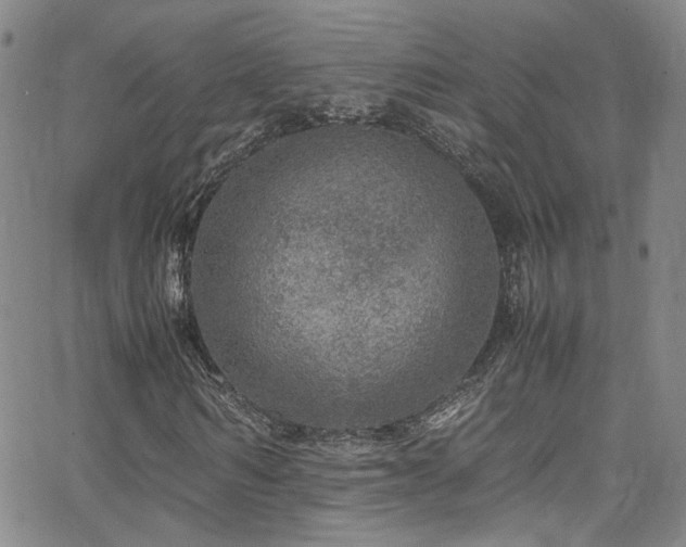 X0000062630962200512211225