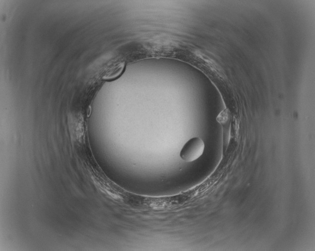 X0000062630963200512211225