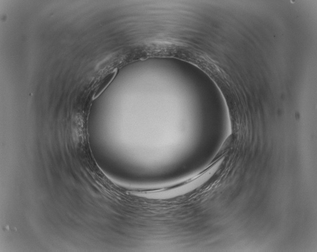 X0000062630964200512211225