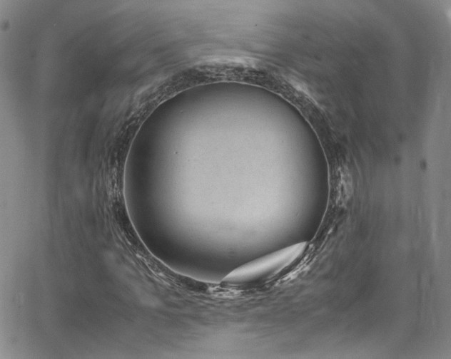 X0000062630965200512211225