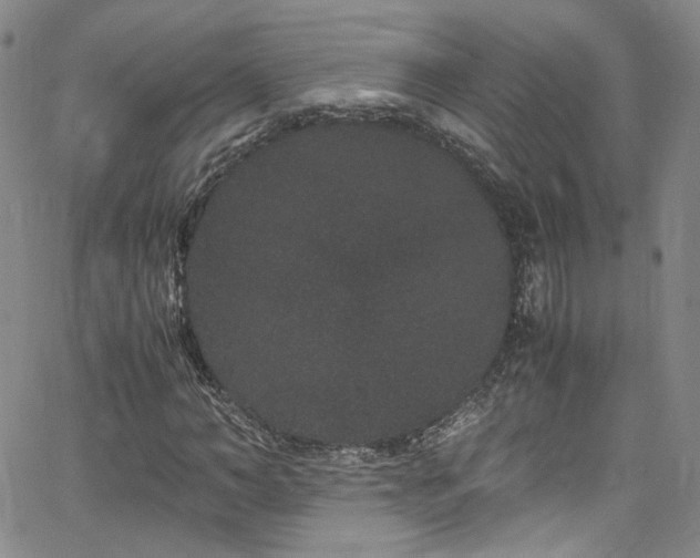 X0000062630966200512211225