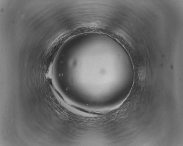 X0000062630968200512211225