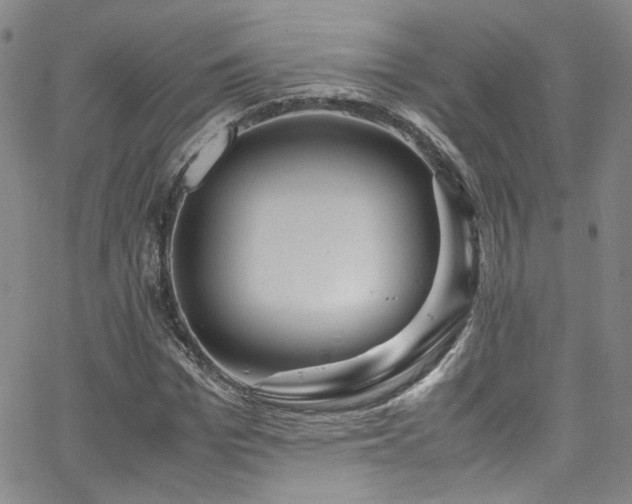 X0000062630969200512211225