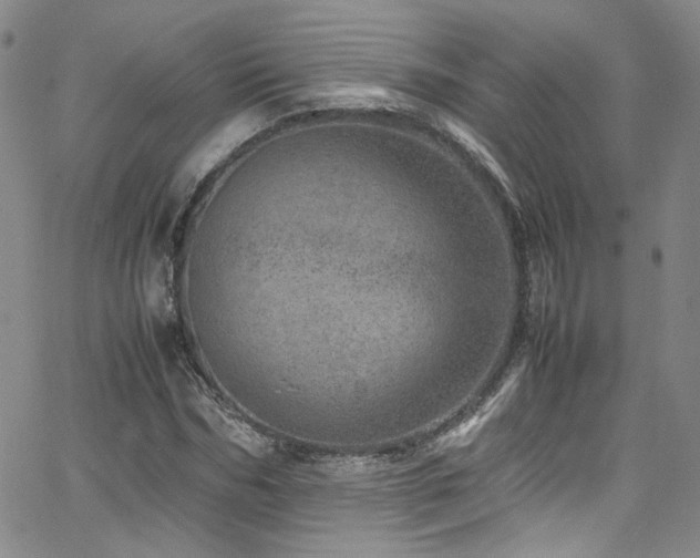 X0000062630970200512211225