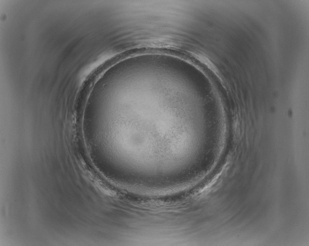 X0000062630971200512211225