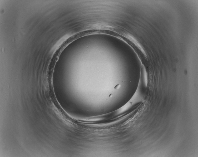 X0000062630972200512211225