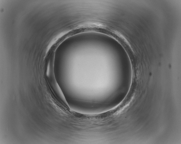 X0000062630973200512211225