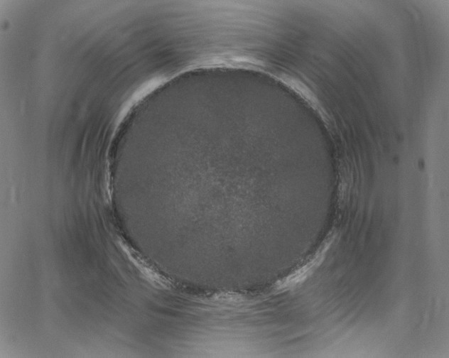 X0000062630974200512211225