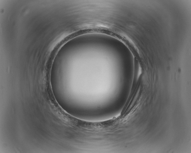 X0000062630975200512211224