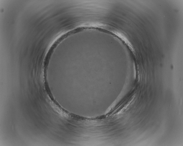 X0000062630976200512211224