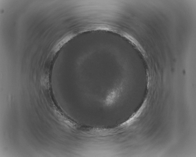 X0000062630977200512211224